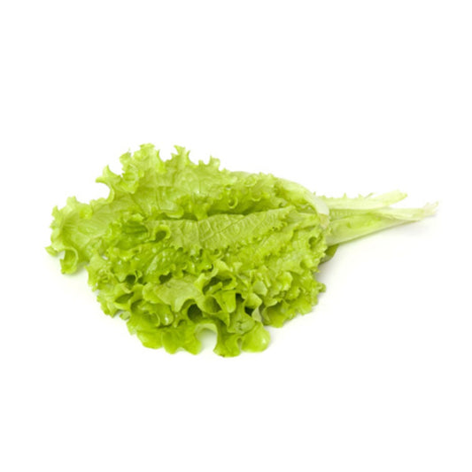 Frizé saláta 10 fej